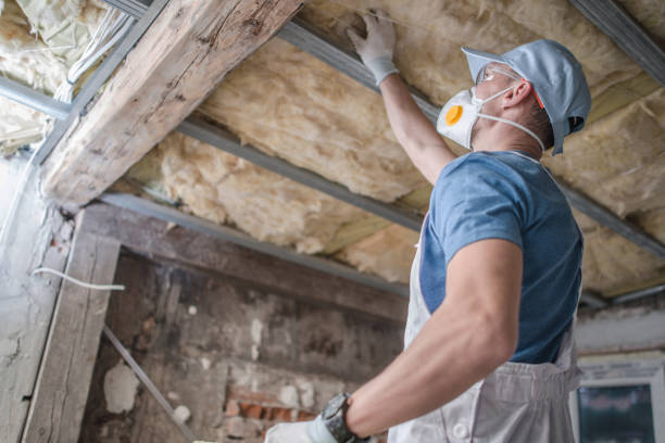 Best Insulation Maintenance and Repair in Stem, NC