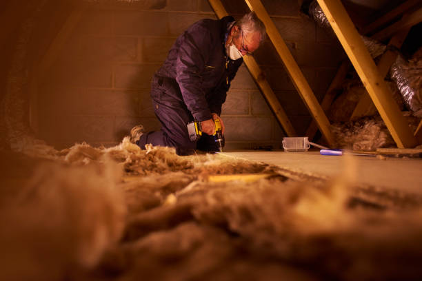 Best Insulation Installation Services in Stem, NC